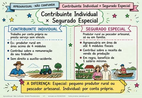 Contribuinte Individual × Segurado Especial — página ilustrada do material