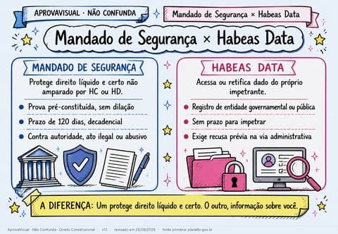 Mandado de Segurança × Habeas Data — página ilustrada do material
