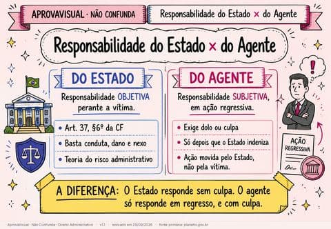 Responsabilidade do Estado × do Agente — página ilustrada do material